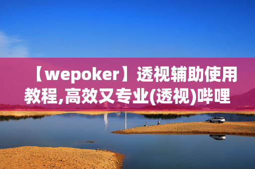 【wepoker】透视辅助使用教程,高效又专业(透视)哔哩哔哩