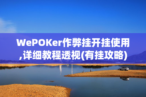 WePOKer作弊挂开挂使用,详细教程透视(有挂攻略)